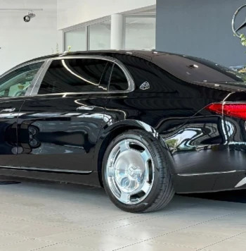 WhatsApp Image 2026-02-26 at 15.31.4211